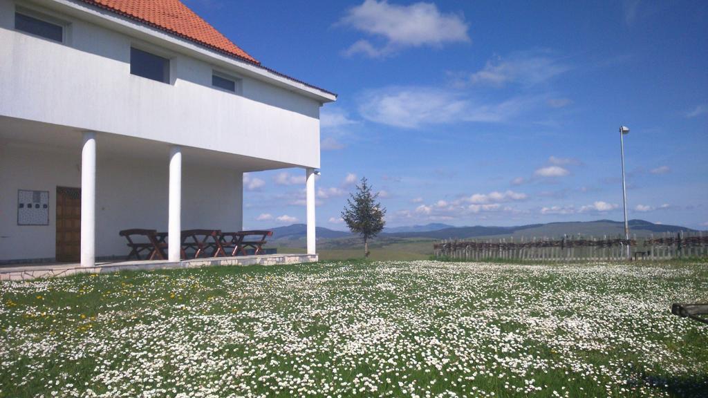 Apartments Zlatiborski Visovi Esterno foto